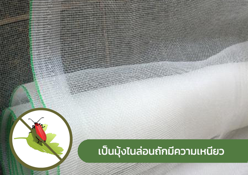 Cover-products-10012